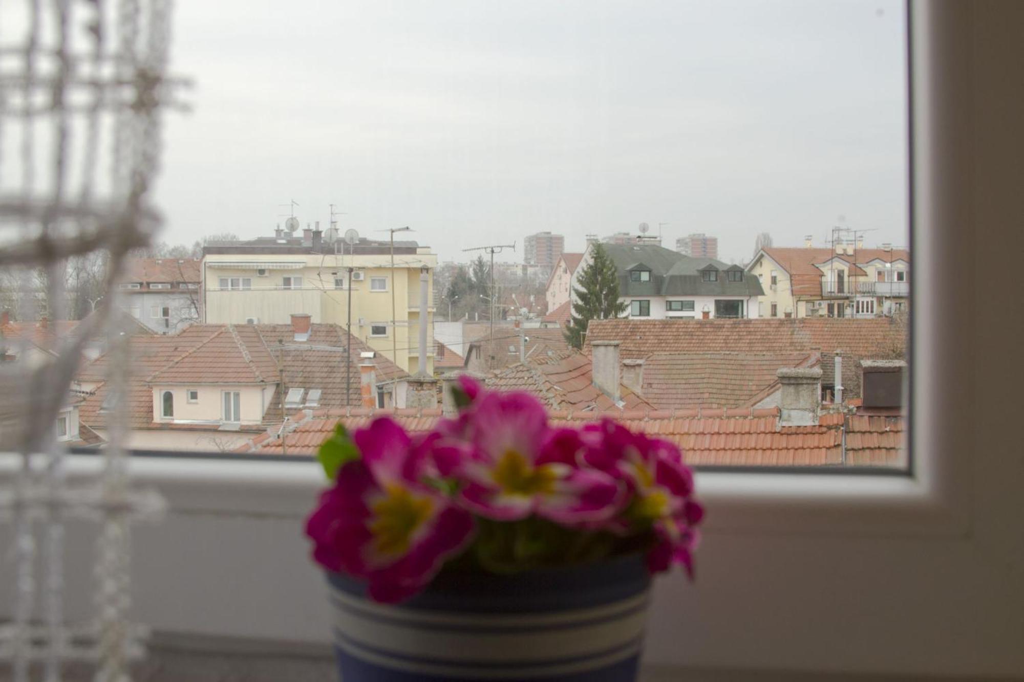 Apartmani Nighty Night Zagreb Rum bild